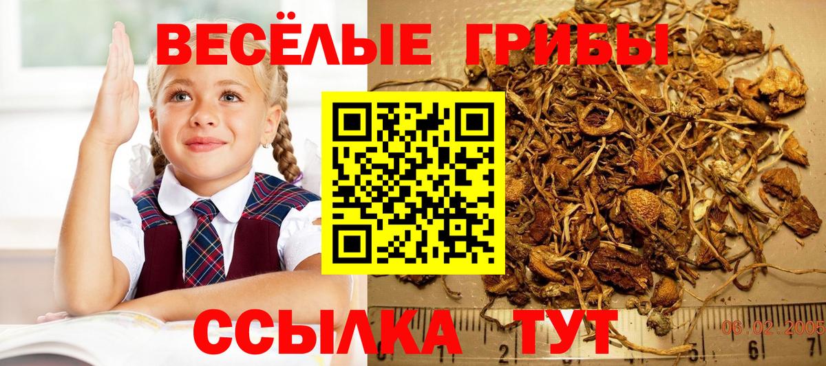 Псилоцибиновые грибы мухоморы  Псилоцибиновые грибы Psilocybine cubensis  Люберцы  Вход с VPN 