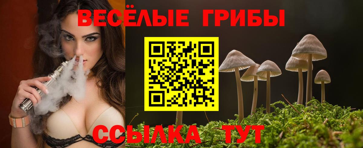 Псилоцибиновые грибы Psilocybe Люберцы